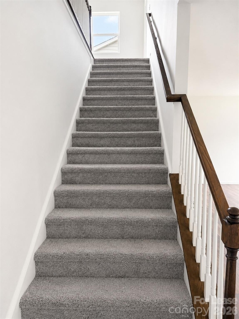 14122 Magnolia Walk Drive - Photo 12