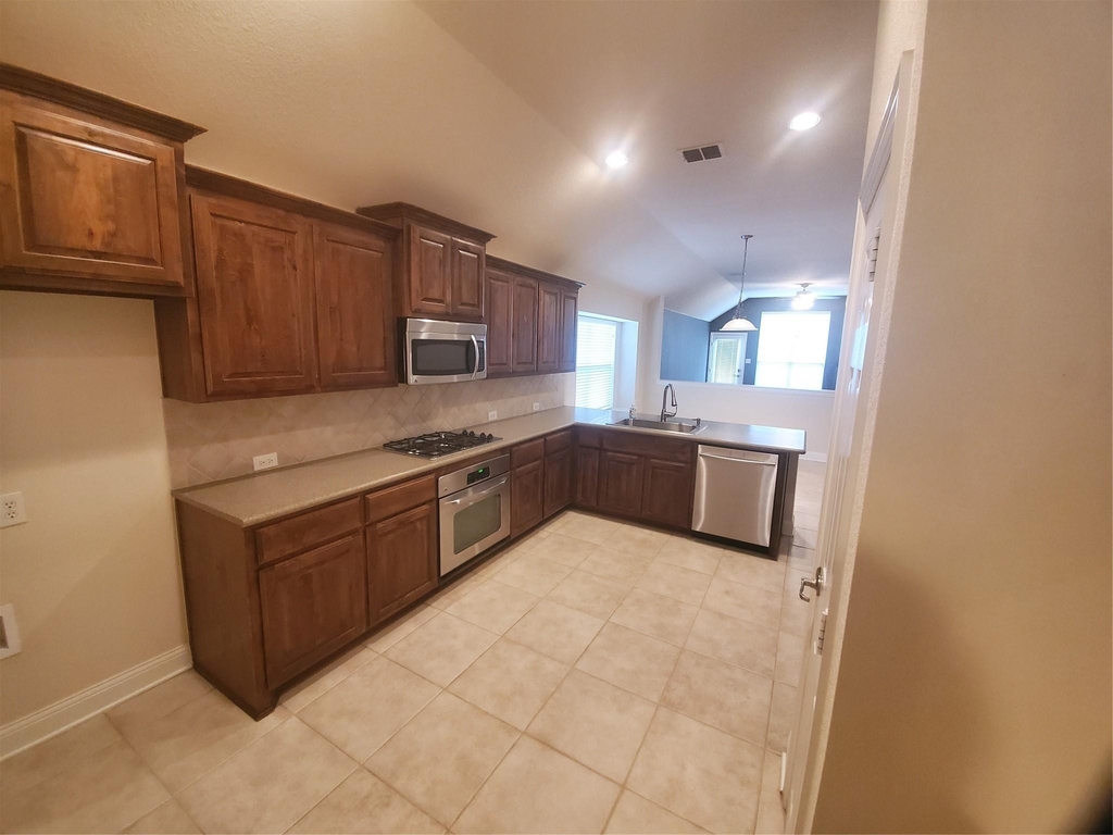 12113 Durango Root Drive - Photo 4
