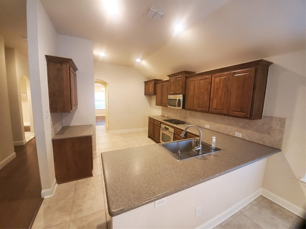 12113 Durango Root Drive - Photo 2