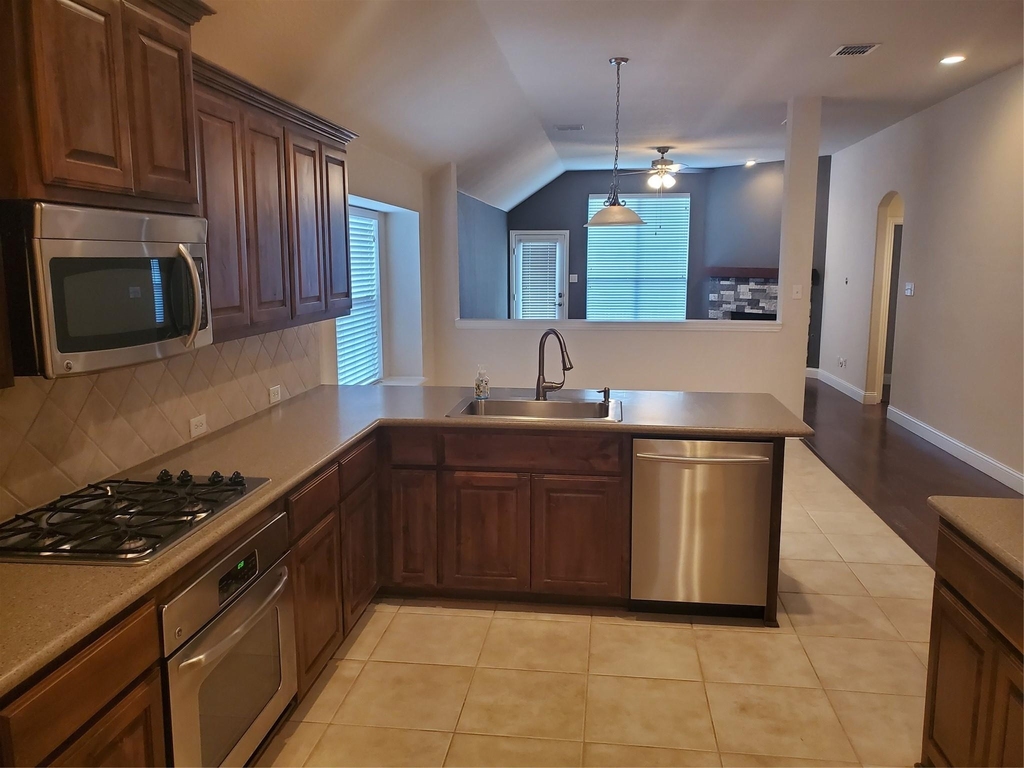 12113 Durango Root Drive - Photo 3