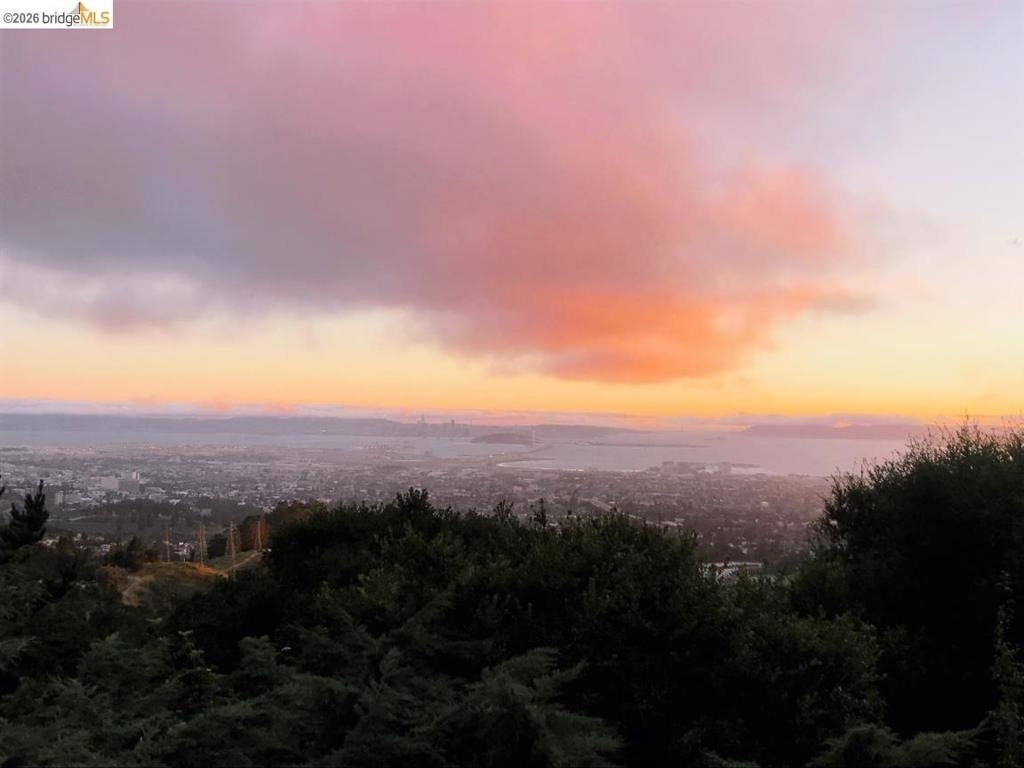 6100 Skyline Blvd - Photo 4