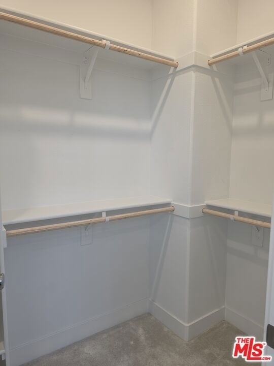 426 Lobata - Photo 15
