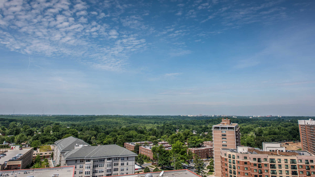 1133 East-west Highway - Photo 23