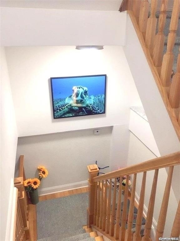 24 Virginia Avenue - Photo 11