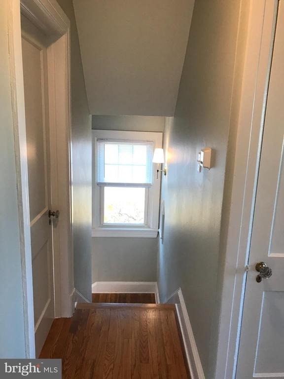 6 W Cecil Street - Photo 29