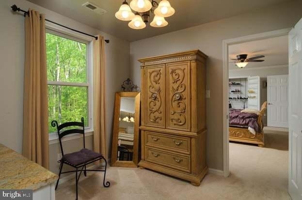 391 Windermere Drive - Photo 28