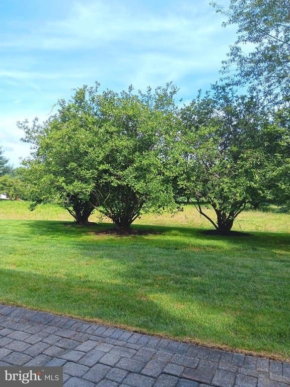 27 Kanon Court - Photo 17