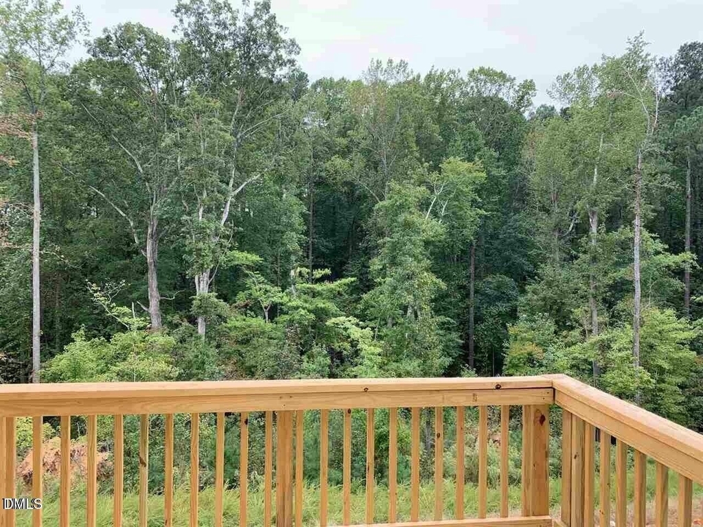 229 Daisy Grove Lane - Photo 54