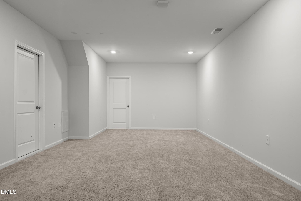 229 Daisy Grove Lane - Photo 26