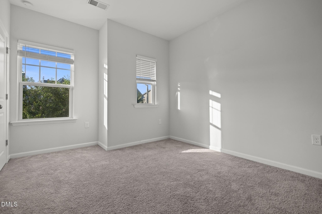 229 Daisy Grove Lane - Photo 47