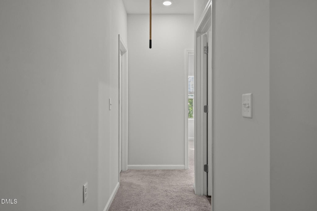 229 Daisy Grove Lane - Photo 41