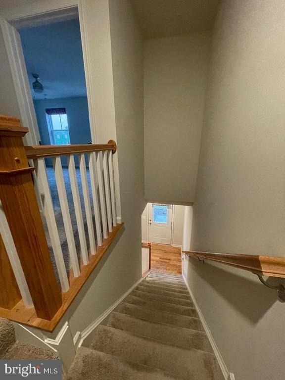 9898 Obin Lane - Photo 2
