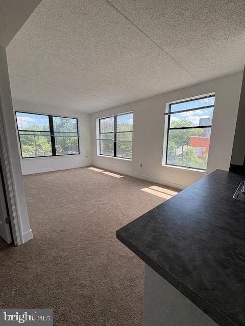 4100 Georgia Avenue Nw - Photo 4