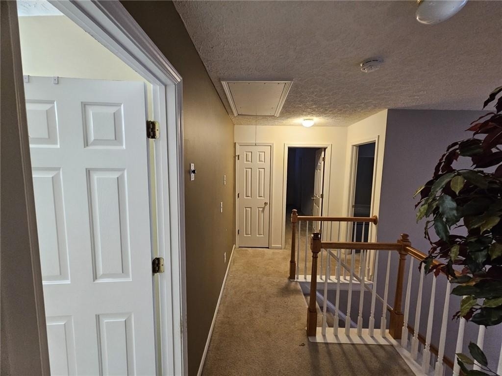 237 Osmanthus Way - Photo 12