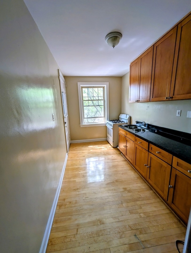 6703 N Greenview Avenue - Photo 8