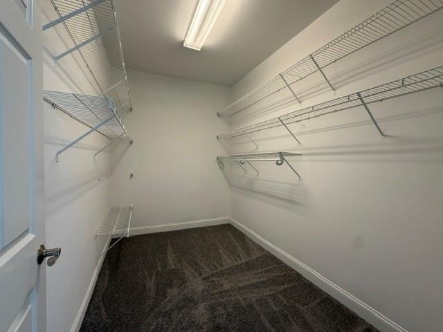 1030 Amber Waves Avenue - Photo 12