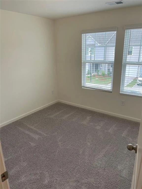 438 Union Station Street - Photo 4