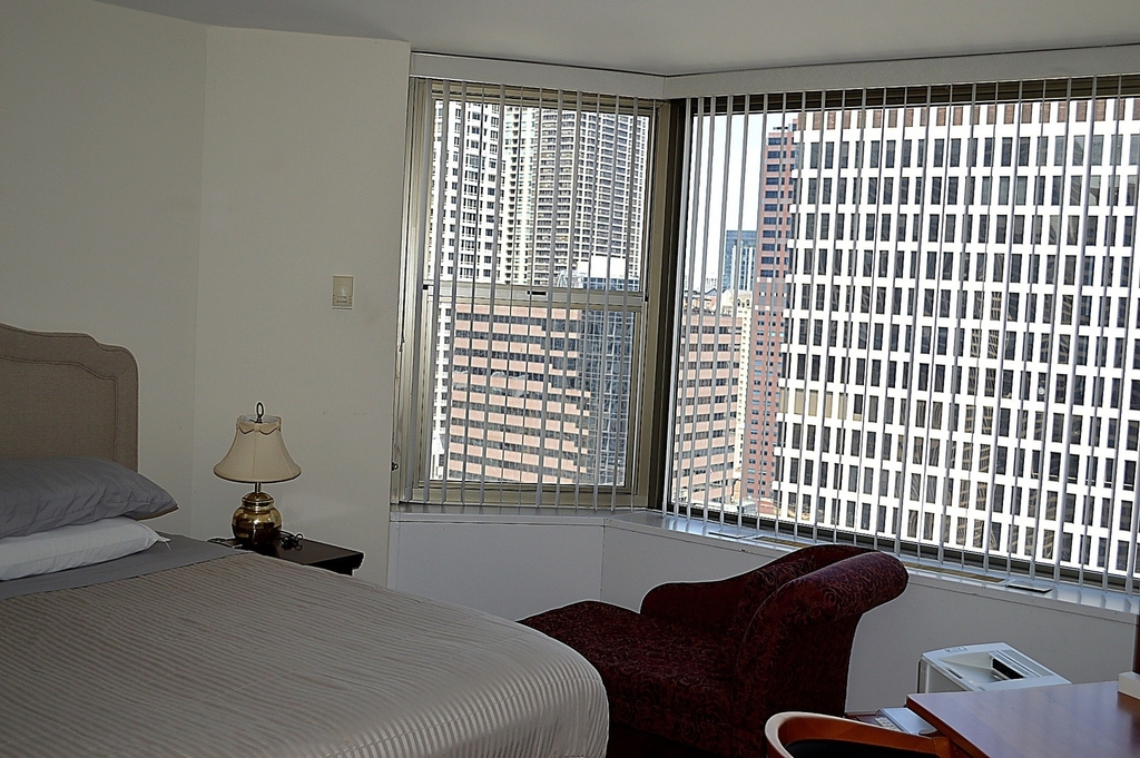 535 N Michigan Avenue - Photo 6