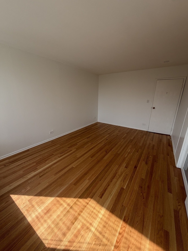 3930 N Pine Grove Avenue - Photo 0
