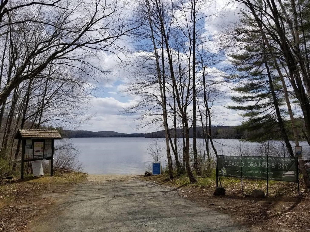 1046 Goose Pond - Photo 36
