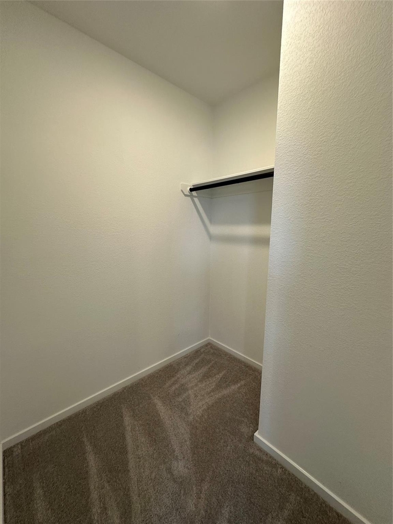 3004 Courtney Coral Ln - Photo 26