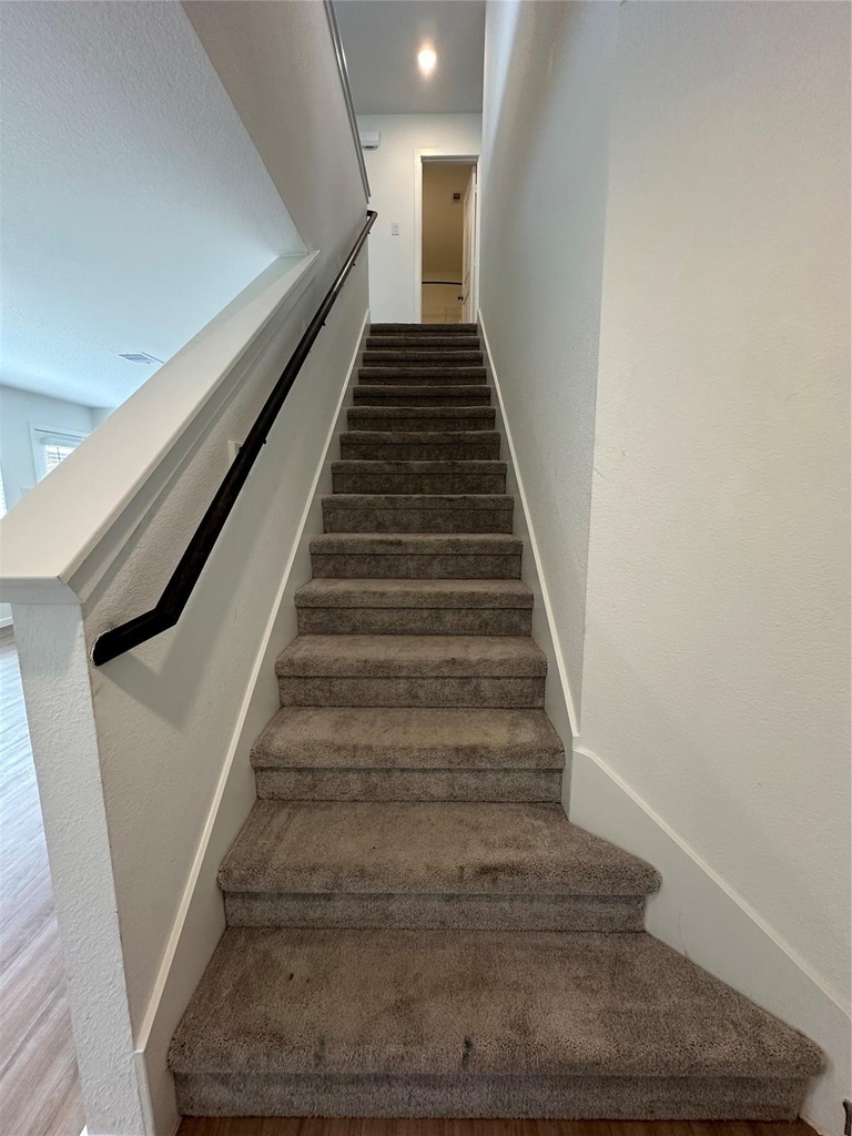 3004 Courtney Coral Ln - Photo 10