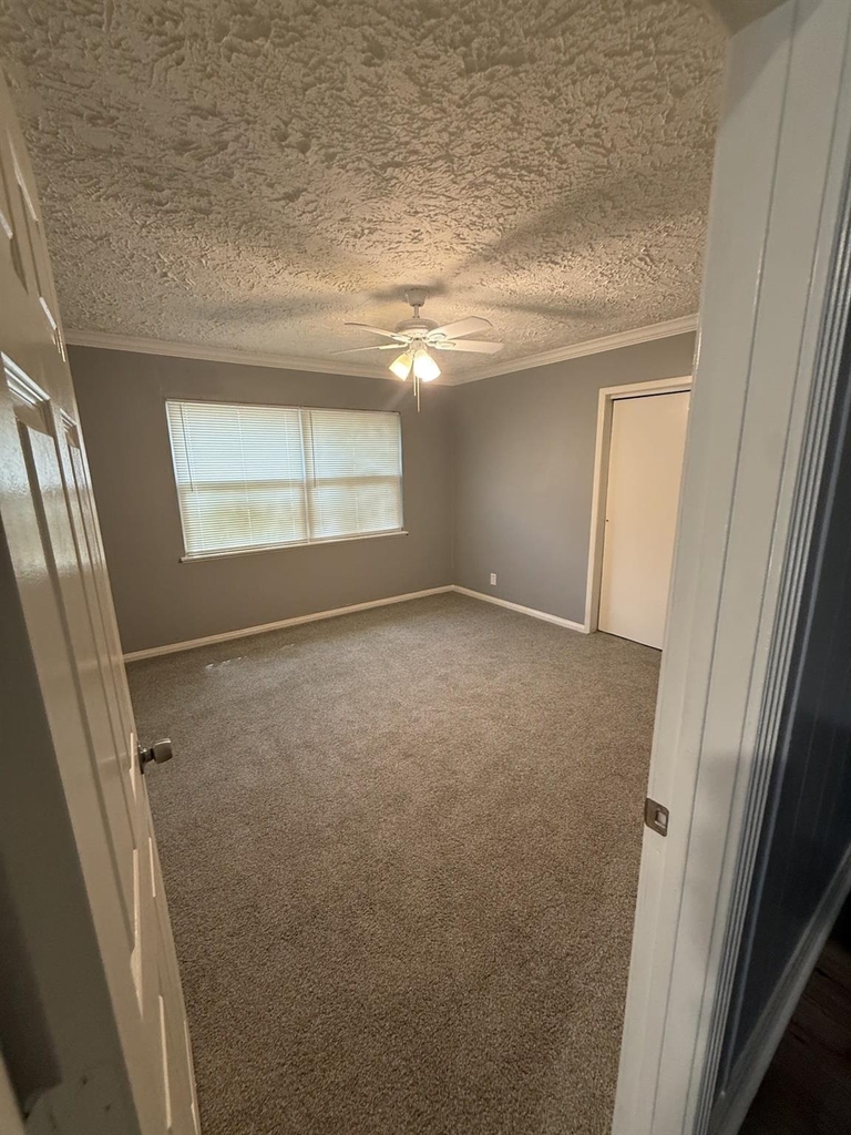 5218 Cortelyou Lane - Photo 11