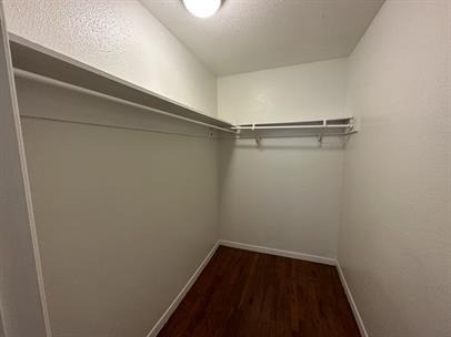 4921 Crawford Street - Photo 12