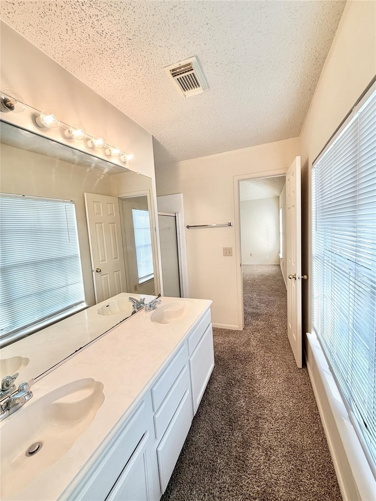 17210 Colony Creek Drive - Photo 14