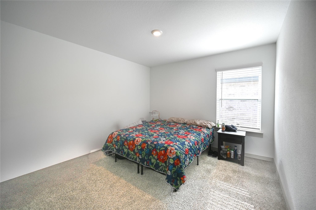 29919 Reagans Ranch Drive - Photo 26