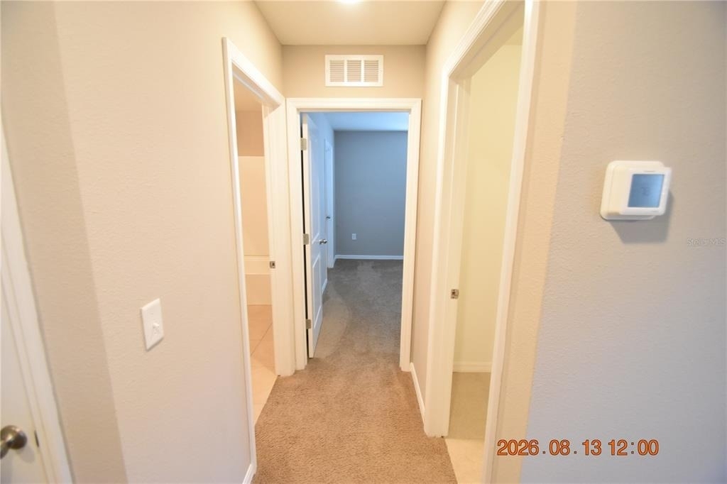 10233 Mangrove Well Road - Photo 56