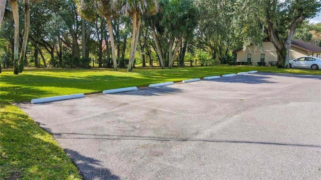 1040 S Buena Vista Drive - Photo 9