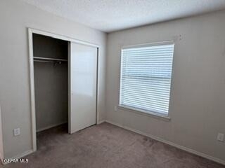 6229 Lovebird Lane - Photo 10