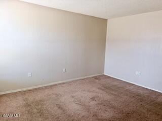6229 Lovebird Lane - Photo 14