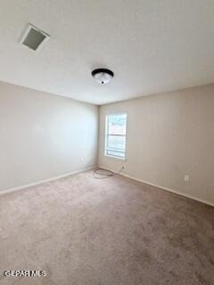 6229 Lovebird Lane - Photo 11