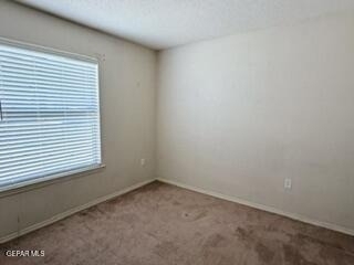 6229 Lovebird Lane - Photo 9
