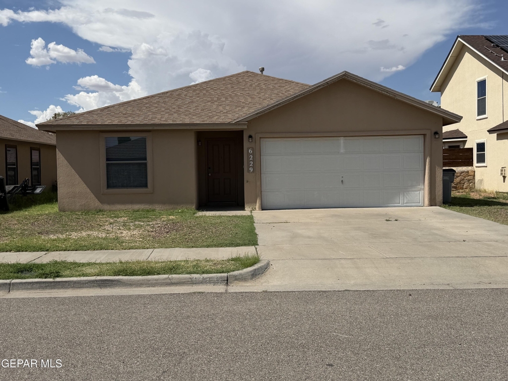 6229 Lovebird Lane - Photo 0