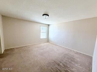 6229 Lovebird Lane - Photo 13