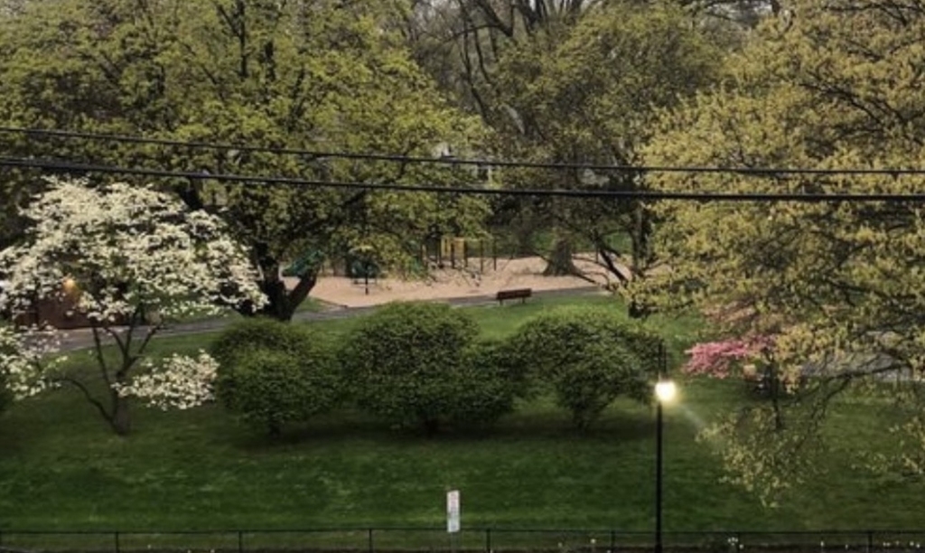 237 Great Neck Road - Photo 4