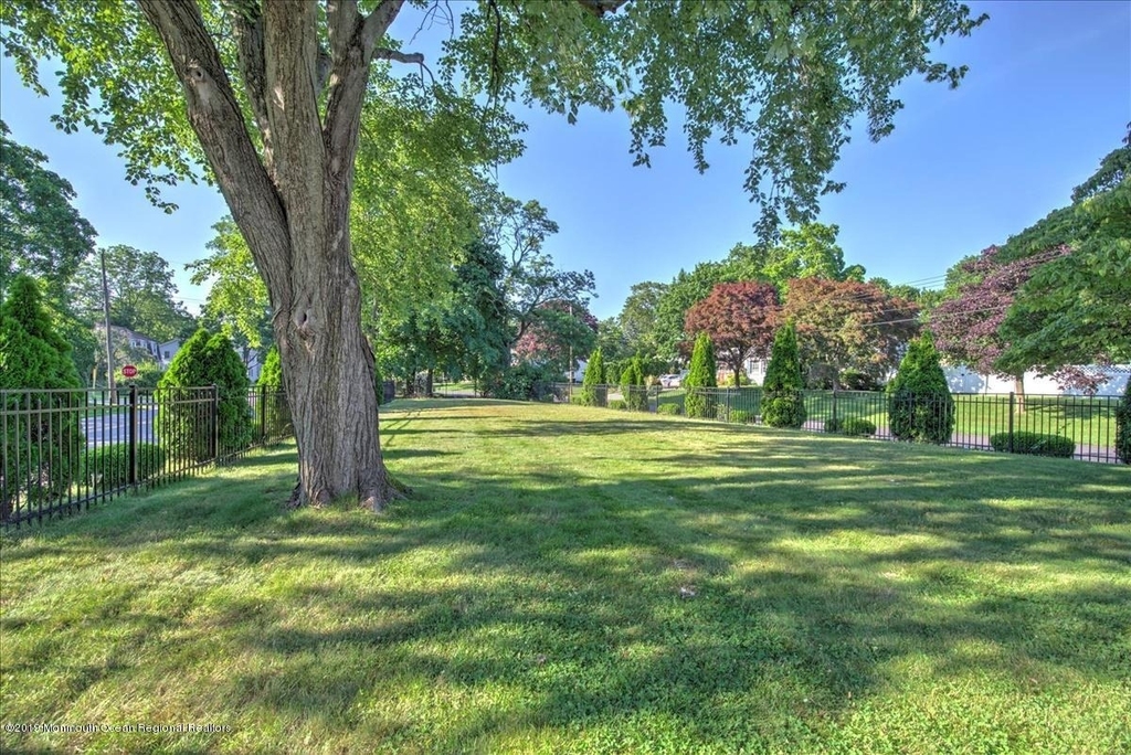 24 Mount Drive - Photo 20