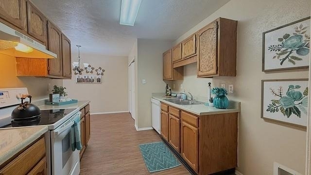 7524 Blue Sage Circle - Photo 11