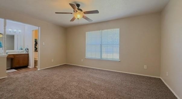 7524 Blue Sage Circle - Photo 13