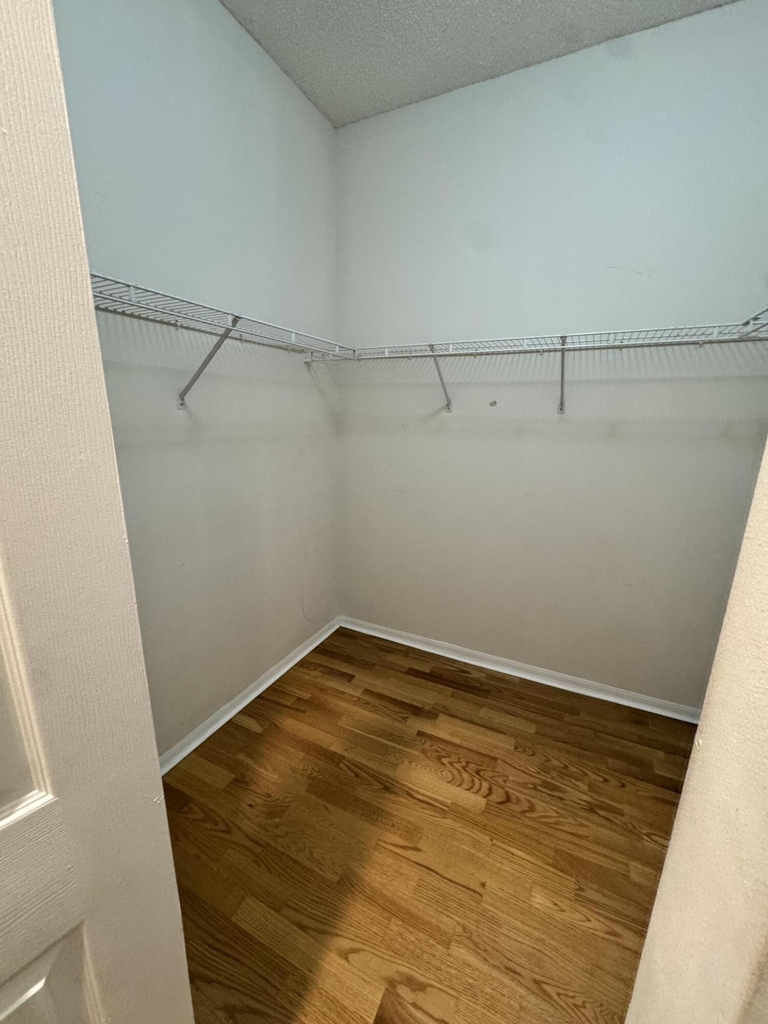 10895 Fillmore Drive - Photo 13