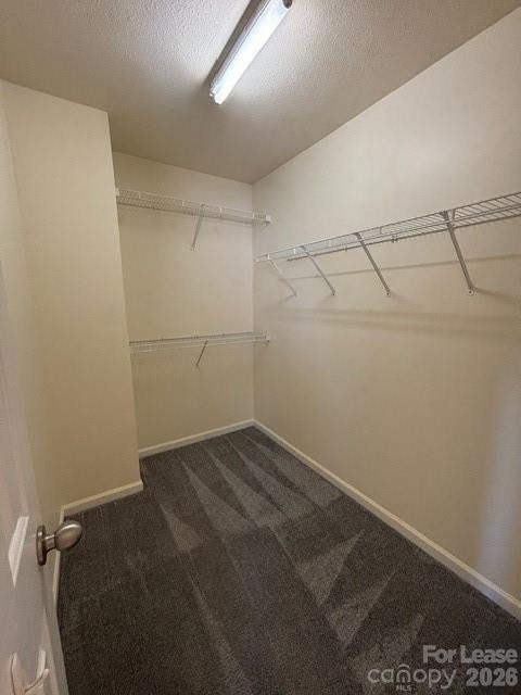 14016 Sugar Oats Lane - Photo 12