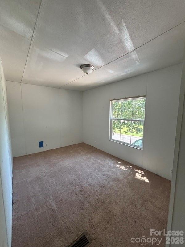 10111 Piney Creek Court - Photo 13