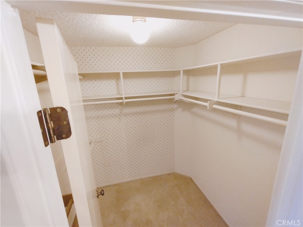 4280 Via Arbolada - Photo 6
