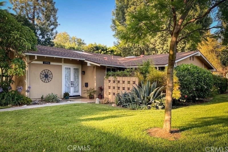 239 Calle Aragon - Photo 0