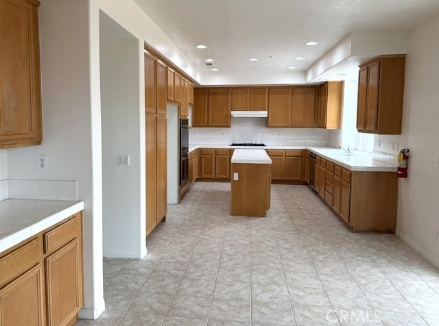 19131 Camassia Court - Photo 5