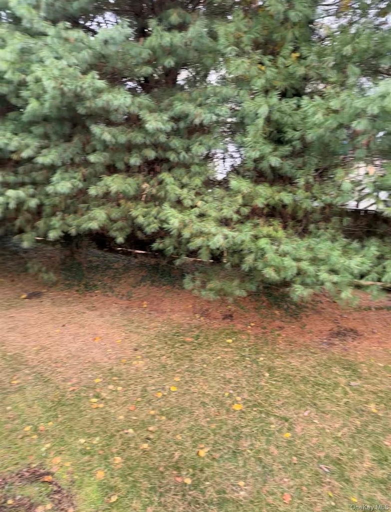 13 Garden Way - Photo 15