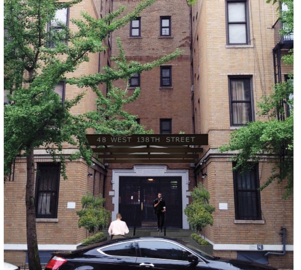 48 W 138th Street - Photo 2
